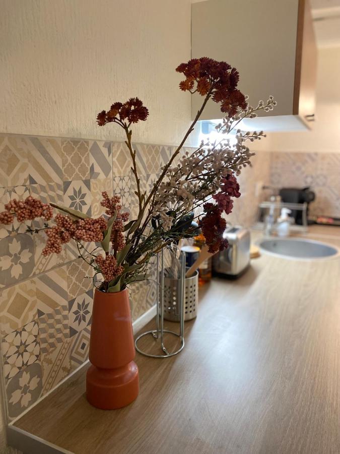 Les Cosy De Nancy - Le Duplex Vintage 4* Διαμέρισμα Εξωτερικό φωτογραφία